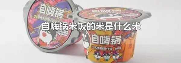 自嗨锅米饭的米是什么米