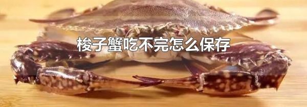 梭子蟹吃不完怎么保存