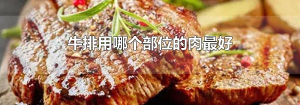 牛排用哪个部位的肉最好