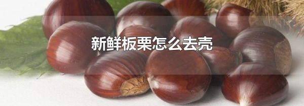 新鲜板栗怎么去壳