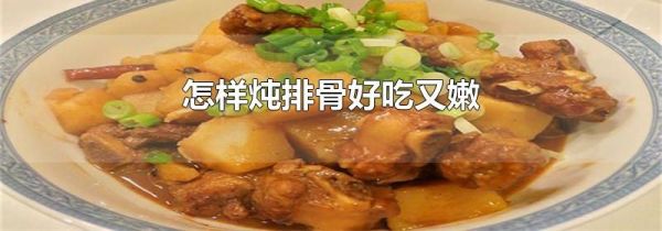怎样炖排骨好吃又嫩