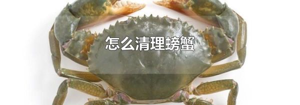 怎么清理螃蟹