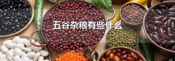 五谷杂粮有些什么