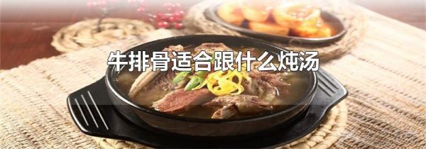 牛排骨适合跟什么炖汤