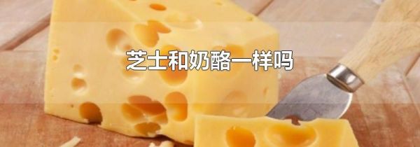 芝士和奶酪一样吗