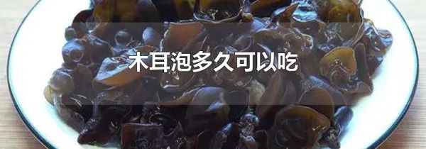 木耳泡多久可以吃