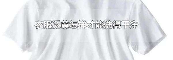 衣服泛黄怎样才能洗得干净