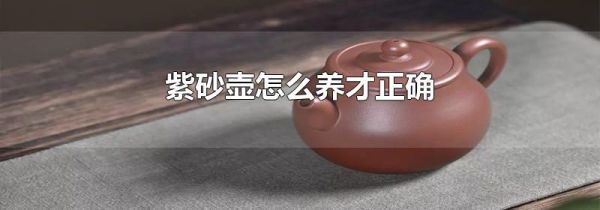 紫砂壶怎么养才正确