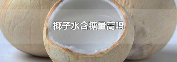 椰子水含糖量高吗