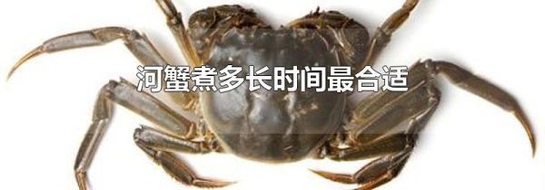 河蟹煮多长时间最合适