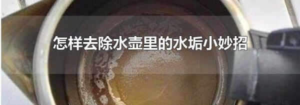 怎样去除水壶里的水垢小妙招