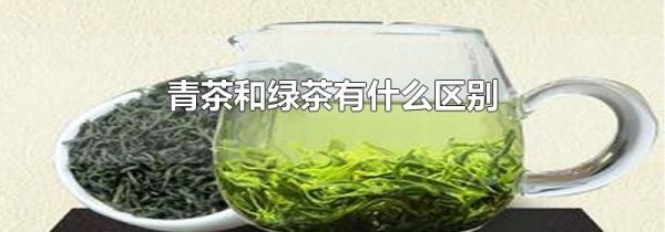 青茶和绿茶有什么区别