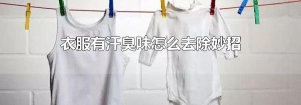 衣服有汗臭味怎么去除妙招