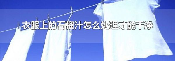 衣服上的石榴汁怎么处理才能干净