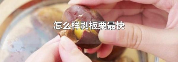 怎么样剥板栗最快