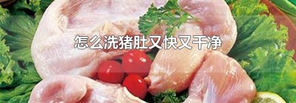 怎么洗猪肚又快又干净