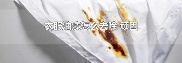 衣服油渍怎么去除 顽固