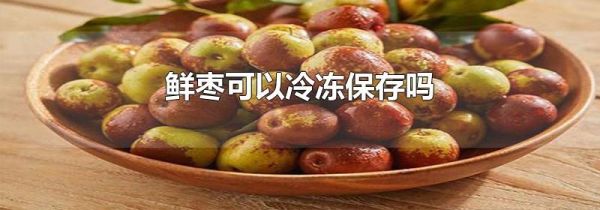 鲜枣可以冷冻保存吗