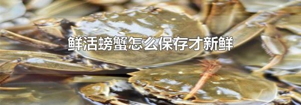 鲜活螃蟹怎么保存才新鲜