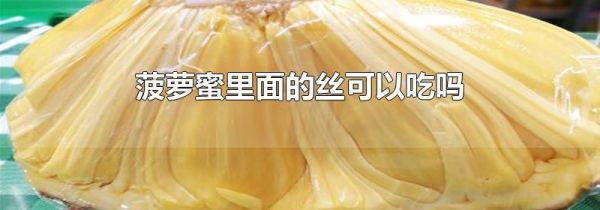 菠萝蜜里面的丝可以吃吗