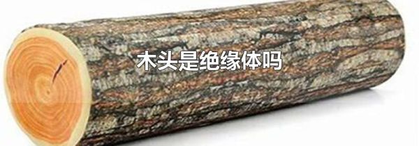 木头是绝缘体吗