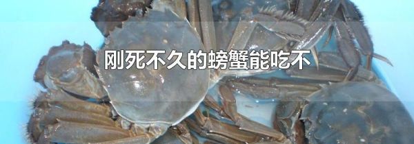 刚死不久的螃蟹能吃不