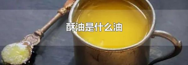 酥油是什么油