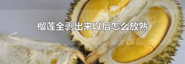 榴莲全剥出来以后怎么放熟