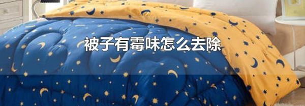 被子有霉味怎么去除
