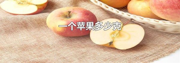 一个苹果多少克