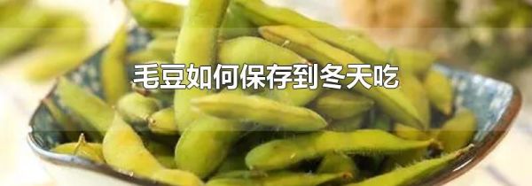 毛豆如何保存到冬天吃