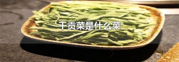 干贡菜是什么菜