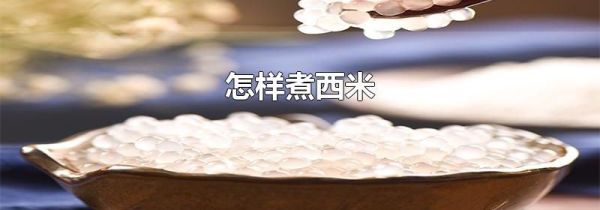 怎样煮西米