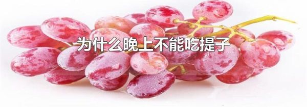为什么晚上不能吃提子