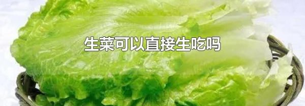 生菜可以直接生吃吗