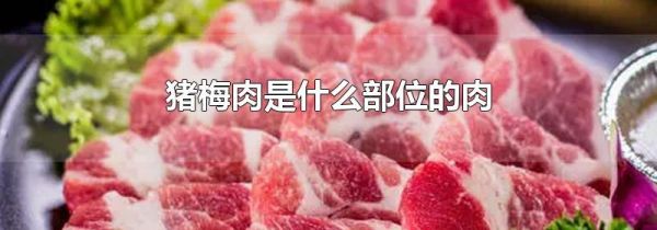 猪梅肉是什么部位的肉