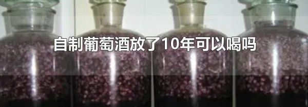 自制葡萄酒放了10年可以喝吗