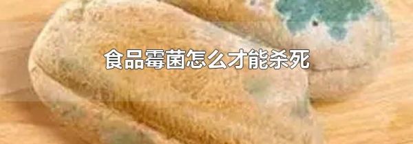 食品霉菌怎么才能杀死