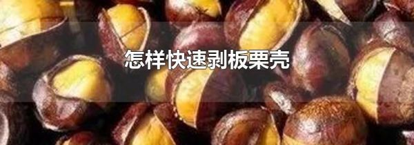 怎样快速剥板栗壳