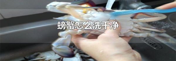 螃蟹怎么洗干净
