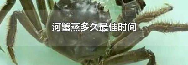 河蟹蒸多久最佳时间