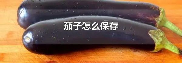 茄子怎么保存