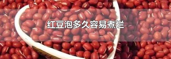 红豆泡多久容易煮烂