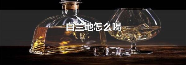 白兰地怎么喝