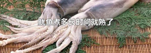 鱿鱼煮多长时间就熟了
