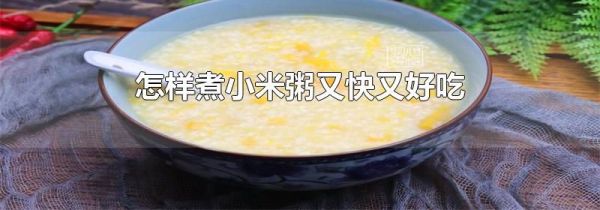 怎样煮小米粥又快又好吃