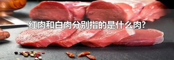 红肉和白肉分别指的是什么肉?