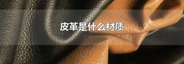 皮革是什么材质