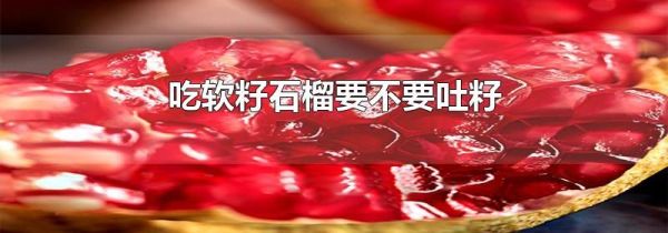吃软籽石榴要不要吐籽