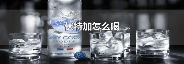 伏特加怎么喝